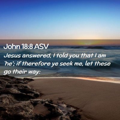 Picture 02 - John 18:8 ASV - Jesus answered, I told you that I am `he'; if - Bible Verse Picture