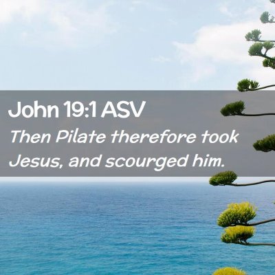Picture 02 - John 19:1 ASV - Then Pilate therefore took Jesus, and scourged - Bible Verse Picture