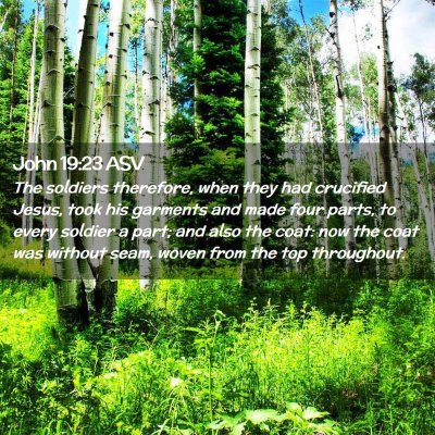 Picture 02 - John 19:23 ASV - The soldiers therefore, when they had crucified - Bible Verse Picture