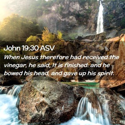 Picture 02 - John 19:30 ASV - When Jesus therefore had received the vinegar, he - Bible Verse Picture