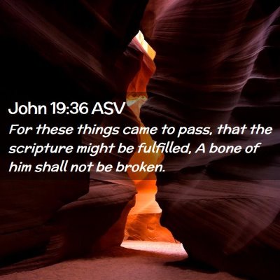 Picture 02 - John 19:36 ASV - For these things came to pass, that the scripture - Bible Verse Picture