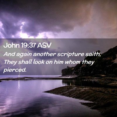 Picture 02 - John 19:37 ASV - And again another scripture saith, They shall - Bible Verse Picture