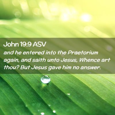 Picture 02 - John 19:9 ASV - and he entered into the Praetorium again, and - Bible Verse Picture
