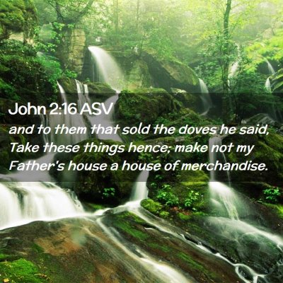 Picture 02 - John 2:16 ASV - and to them that sold the doves he said, Take - Bible Verse Picture