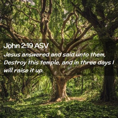 Picture 02 - John 2:19 ASV - Jesus answered and said unto them, Destroy this - Bible Verse Picture