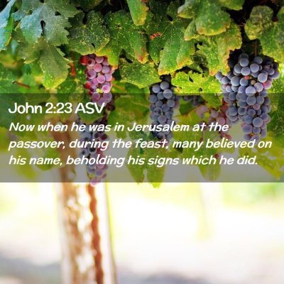 Picture 02 - John 2:23 ASV - Now when he was in Jerusalem at the passover, - Bible Verse Picture