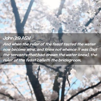 Picture 02 - John 2:9 ASV - And when the ruler of the feast tasted the water - Bible Verse Picture