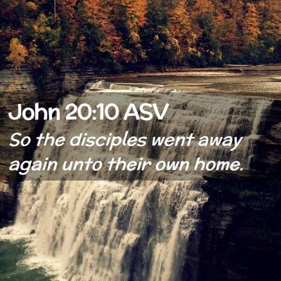 Picture 02 - John 20:10 ASV - So the disciples went away again unto their own - Bible Verse Picture