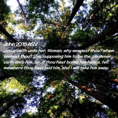 Picture 02 - John 20:15 ASV - Jesus saith unto her, Woman, why weepest thou? - Bible Verse Picture