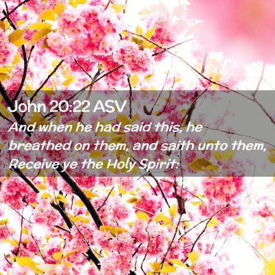 Picture 02 - John 20:22 ASV - And when he had said this, he breathed on them, - Bible Verse Picture