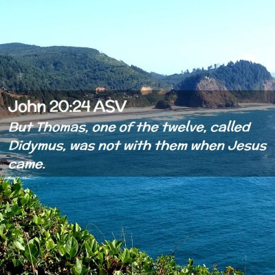 Picture 02 - John 20:24 ASV - But Thomas, one of the twelve, called Didymus, - Bible Verse Picture