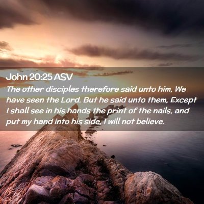 Picture 02 - John 20:25 ASV - The other disciples therefore said unto him, We - Bible Verse Picture