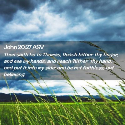 Picture 02 - John 20:27 ASV - Then saith he to Thomas, Reach hither thy finger, - Bible Verse Picture