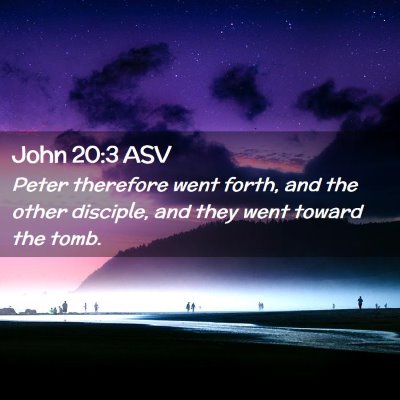 Picture 02 - John 20:3 ASV - Peter therefore went forth, and the other - Bible Verse Picture
