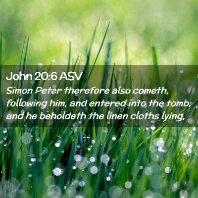 Picture 02 - John 20:6 ASV - Simon Peter therefore also cometh, following him, - Bible Verse Picture