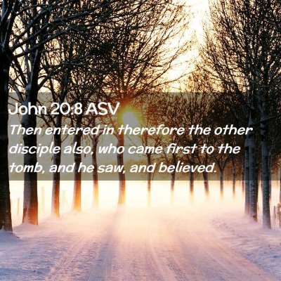 Picture 02 - John 20:8 ASV - Then entered in therefore the other disciple - Bible Verse Picture