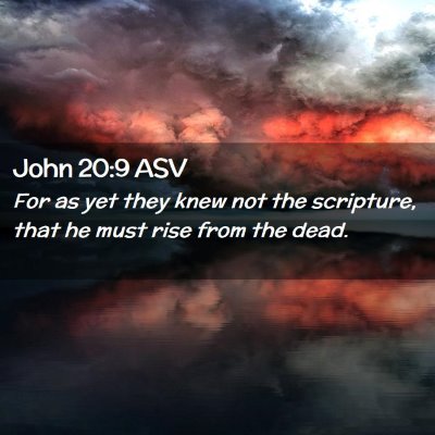 Picture 02 - John 20:9 ASV - For as yet they knew not the scripture, that he - Bible Verse Picture