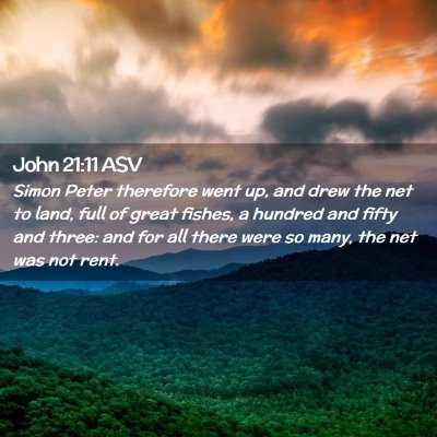 Picture 02 - John 21:11 ASV - Simon Peter therefore went up, and drew the net - Bible Verse Picture