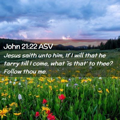 Picture 02 - John 21:22 ASV - Jesus saith unto him, If I will that he tarry - Bible Verse Picture