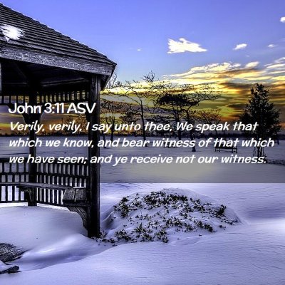Picture 02 - John 3:11 ASV - Verily, verily, I say unto thee, We speak that - Bible Verse Picture