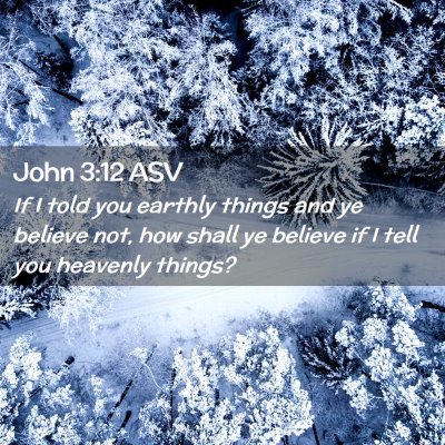 Picture 02 - John 3:12 ASV - If I told you earthly things and ye believe not, - Bible Verse Picture