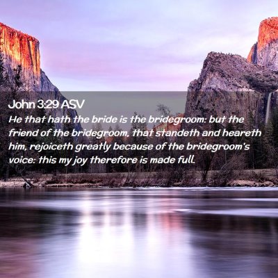 Picture 02 - John 3:29 ASV - He that hath the bride is the bridegroom: but the - Bible Verse Picture
