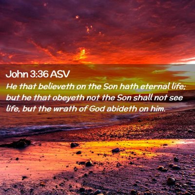 Picture 02 - John 3:36 ASV - He that believeth on the Son hath eternal life; - Bible Verse Picture