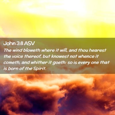 Picture 02 - John 3:8 ASV - The wind bloweth where it will, and thou hearest - Bible Verse Picture