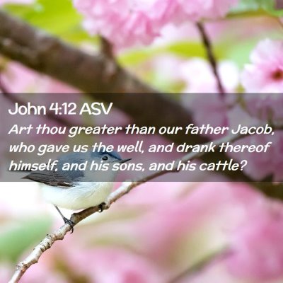 Picture 02 - John 4:12 ASV - Art thou greater than our father Jacob, who gave - Bible Verse Picture