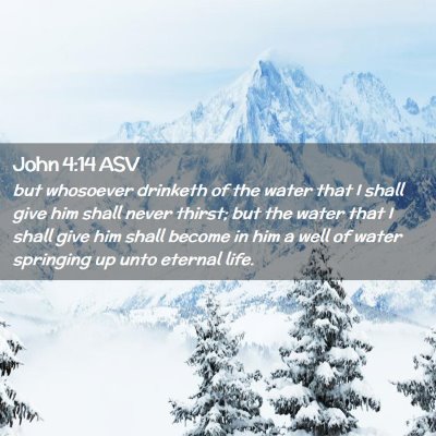 Picture 02 - John 4:14 ASV - but whosoever drinketh of the water that I shall - Bible Verse Picture