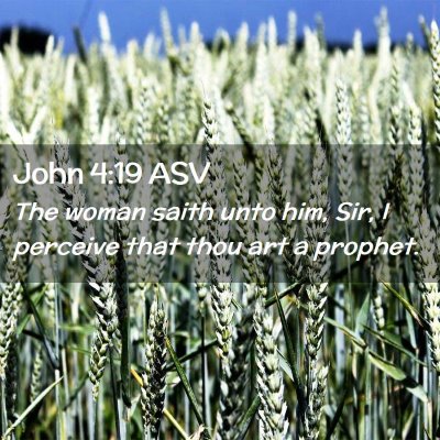 Picture 02 - John 4:19 ASV - The woman saith unto him, Sir, I perceive that - Bible Verse Picture