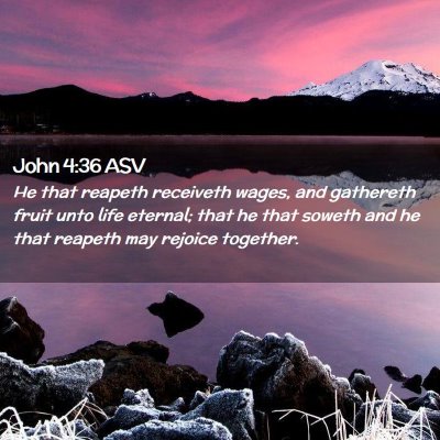 Picture 02 - John 4:36 ASV - He that reapeth receiveth wages, and gathereth - Bible Verse Picture