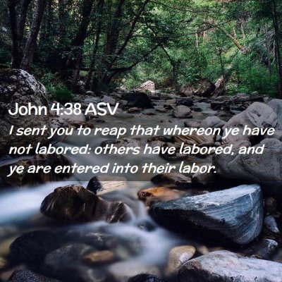 Picture 02 - John 4:38 ASV - I sent you to reap that whereon ye have not - Bible Verse Picture
