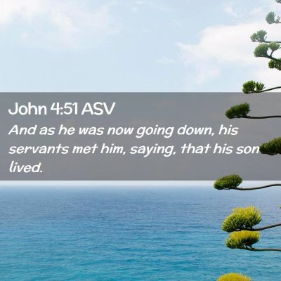 Picture 02 - John 4:51 ASV - And as he was now going down, his servants met - Bible Verse Picture