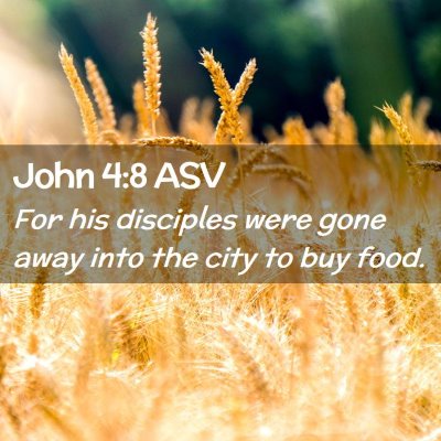 Picture 02 - John 4:8 ASV - For his disciples were gone away into the city to - Bible Verse Picture