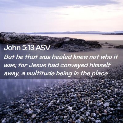 Picture 02 - John 5:13 ASV - But he that was healed knew not who it was; for - Bible Verse Picture