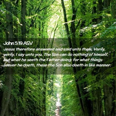 Picture 02 - John 5:19 ASV - Jesus therefore answered and said unto them, - Bible Verse Picture