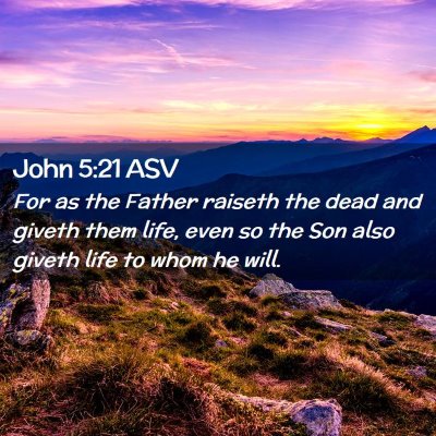 Picture 02 - John 5:21 ASV - For as the Father raiseth the dead and giveth - Bible Verse Picture