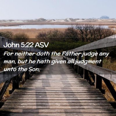 Picture 02 - John 5:22 ASV - For neither doth the Father judge any man, but he - Bible Verse Picture