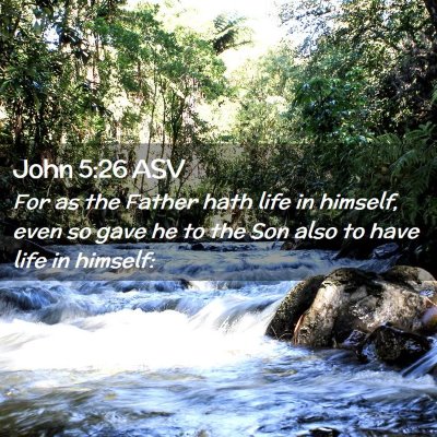 Picture 02 - John 5:26 ASV - For as the Father hath life in himself, even so - Bible Verse Picture