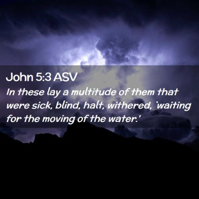 Picture 02 - John 5:3 ASV - In these lay a multitude of them that were sick, - Bible Verse Picture
