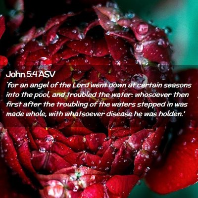 Picture 02 - John 5:4 ASV - `for an angel of the Lord went down at certain - Bible Verse Picture