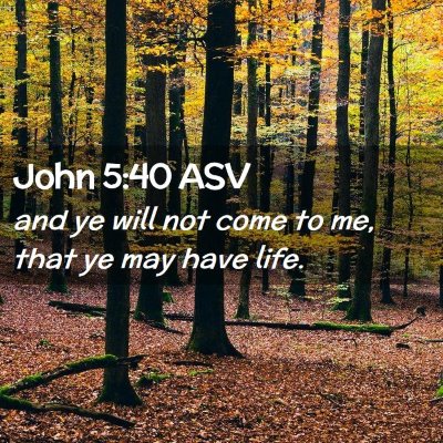 Picture 02 - John 5:40 ASV - and ye will not come to me, that ye may have - Bible Verse Picture