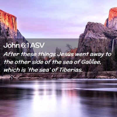 Picture 02 - John 6:1 ASV - After these things Jesus went away to the other - Bible Verse Picture