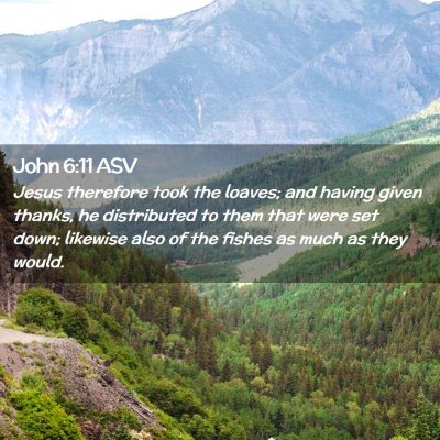 Picture 02 - John 6:11 ASV - Jesus therefore took the loaves; and having given - Bible Verse Picture