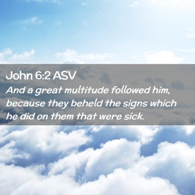 Picture 02 - John 6:2 ASV - And a great multitude followed him, because they - Bible Verse Picture