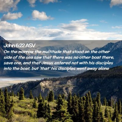 Picture 02 - John 6:22 ASV - On the morrow the multitude that stood on the - Bible Verse Picture