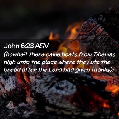Picture 02 - John 6:23 ASV - (howbeit there came boats from Tiberias nigh unto - Bible Verse Picture