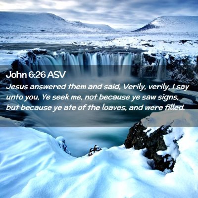 Picture 02 - John 6:26 ASV - Jesus answered them and said, Verily, verily, I - Bible Verse Picture