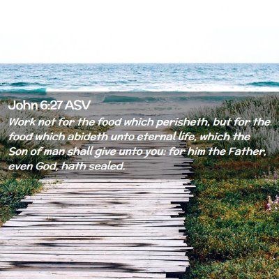 Picture 02 - John 6:27 ASV - Work not for the food which perisheth, but for - Bible Verse Picture
